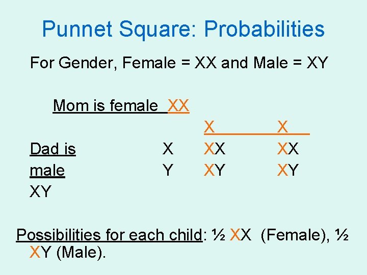 Punnet Square: Probabilities For Gender, Female = XX and Male = XY Mom is