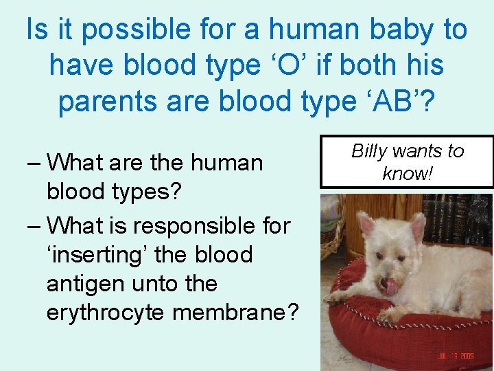 Is it possible for a human baby to have blood type ‘O’ if both