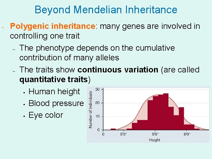 Beyond Mendelian Inheritance • Polygenic inheritance: many genes are involved in controlling one trait