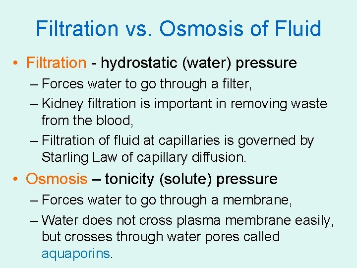Filtration vs. Osmosis of Fluid • Filtration - hydrostatic (water) pressure – Forces water