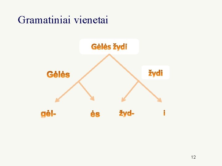 Gramatiniai vienetai 12 