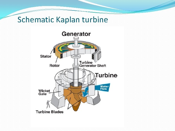 Schematic Kaplan turbine 