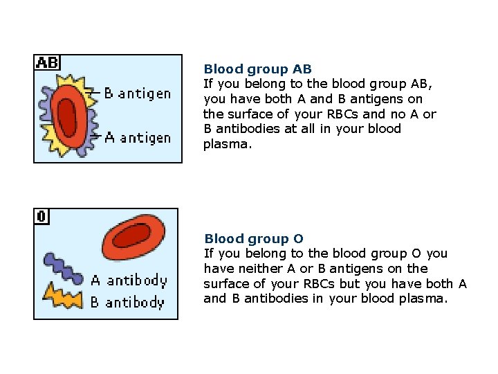 Blood group AB If you belong to the blood group AB, you have both