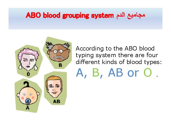 ABO blood grouping system ﻣﺠﺎﻣﻴﻊ ﺍﻟﺪﻡ According to the ABO blood typing system there
