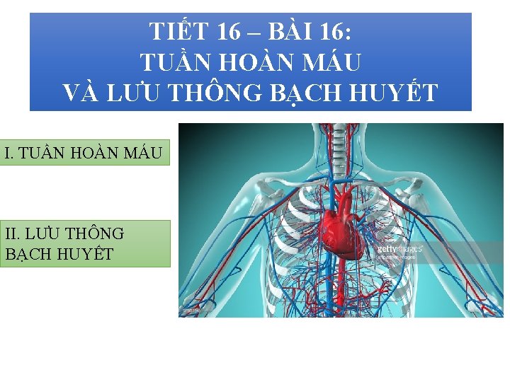 TIẾT 16 – BÀI 16: TUẦN HOÀN MÁU VÀ LƯU THÔNG BẠCH HUYẾT I.