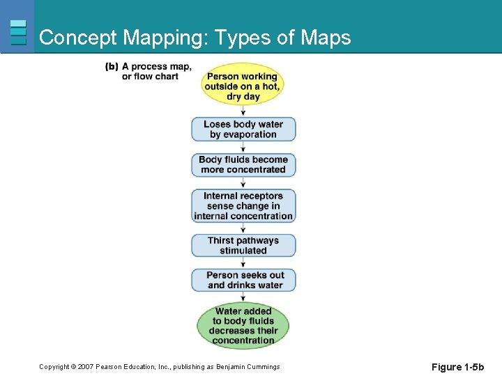 Concept Mapping: Types of Maps Copyright © 2007 Pearson Education, Inc. , publishing as