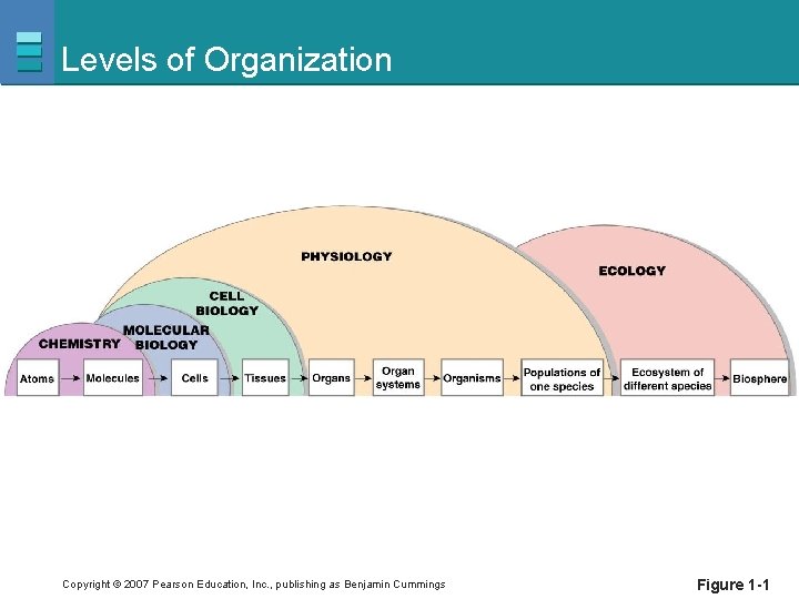 Levels of Organization Copyright © 2007 Pearson Education, Inc. , publishing as Benjamin Cummings