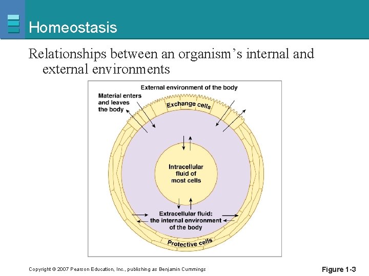 Homeostasis Relationships between an organism’s internal and external environments Copyright © 2007 Pearson Education,