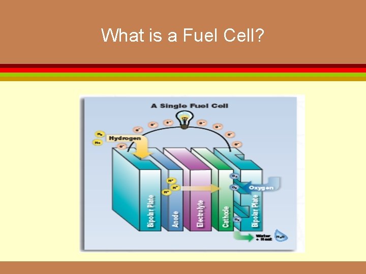 What is a Fuel Cell? 