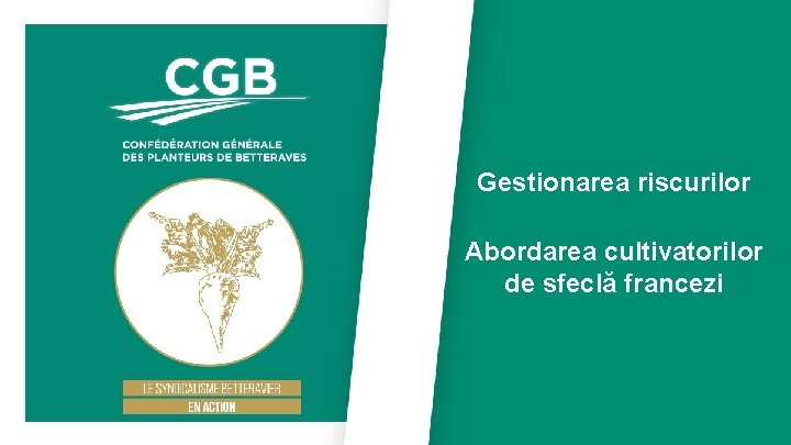 Gestionarea riscurilor Abordarea cultivatorilor de sfeclă francezi 