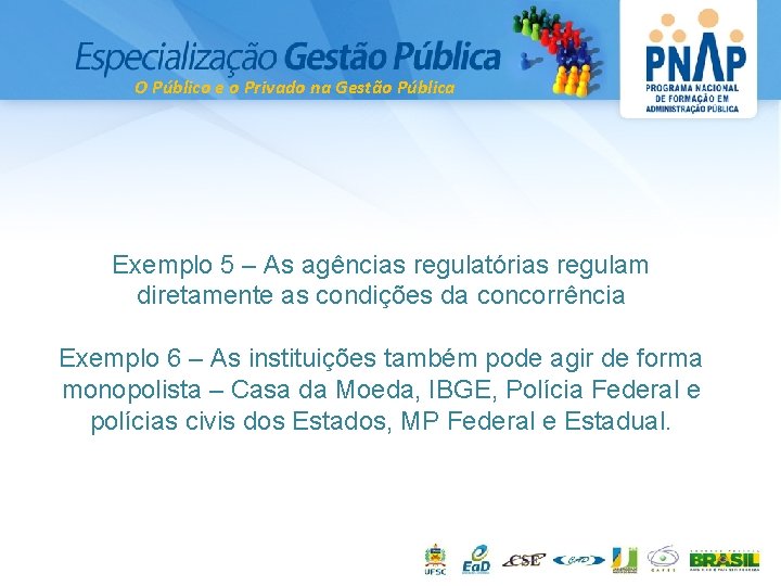 O Público e o Privado na Gestão Pública Exemplo 5 – As agências regulatórias