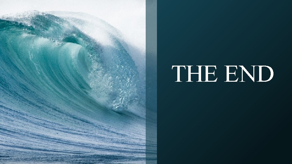 THE END 