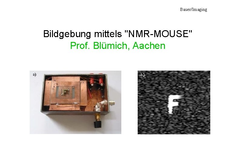 Bauer/Imaging Bildgebung mittels "NMR-MOUSE" Prof. Blümich, Aachen 