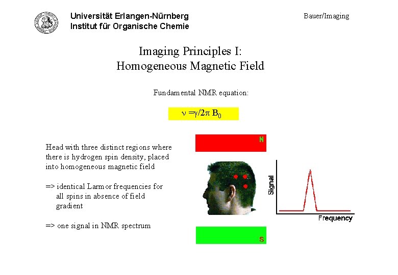 Universität Erlangen-Nürnberg Princ. I - head homog. Institut für Organische Chemie Imaging Principles I: