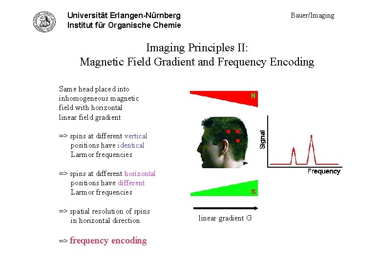 Universität Erlangen-Nürnberg Princ. II - gradient Institut für Organische Chemie Bauer/Imaging Principles II: Magnetic