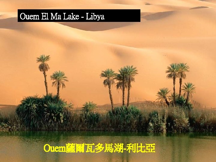 Ouem El Ma Lake - Libya Ouem薩爾瓦多馬湖-利比亞 