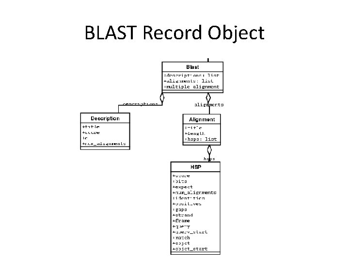 BLAST Record Object 