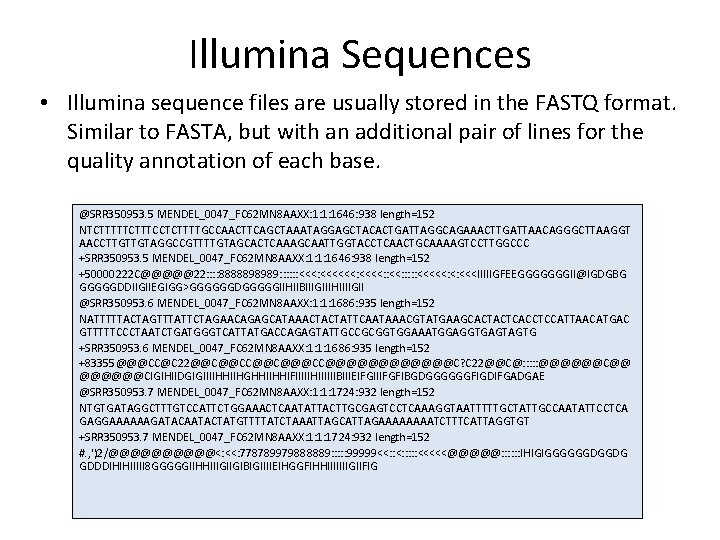 Illumina Sequences • Illumina sequence files are usually stored in the FASTQ format. Similar
