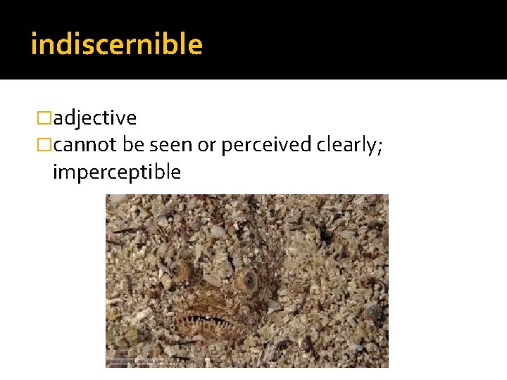 indiscernible �adjective �cannot be seen or perceived clearly; imperceptible 