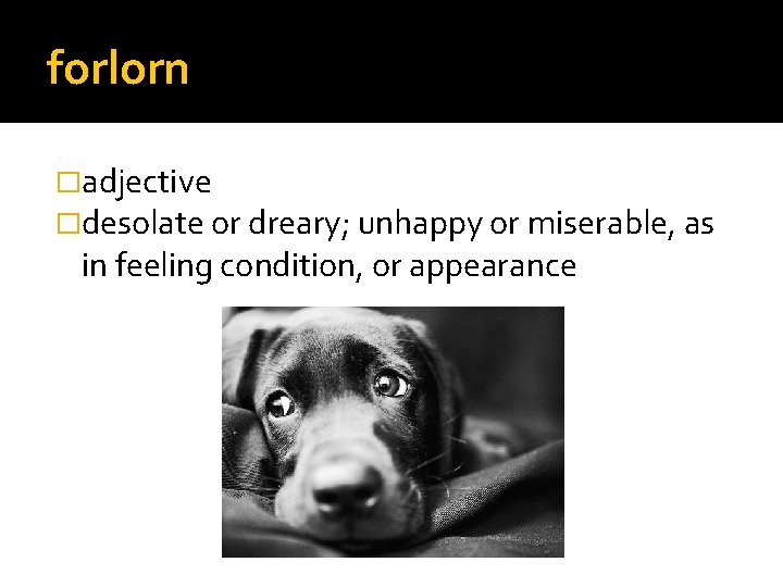 forlorn �adjective �desolate or dreary; unhappy or miserable, as in feeling condition, or appearance