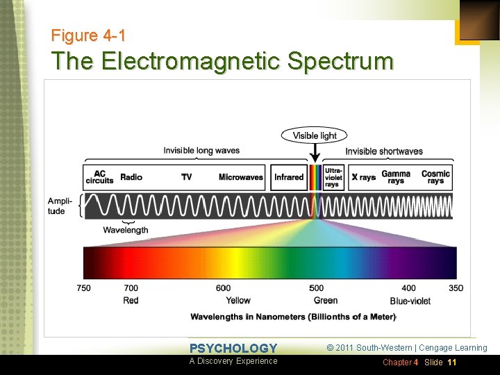 Figure 4 -1 The Electromagnetic Spectrum PSYCHOLOGY A Discovery Experience © 2011 South-Western |