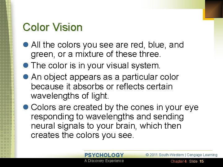 Color Vision l All the colors you see are red, blue, and green, or