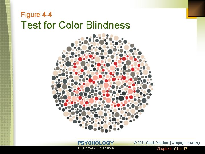 Figure 4 -4 Test for Color Blindness PSYCHOLOGY A Discovery Experience © 2011 South-Western
