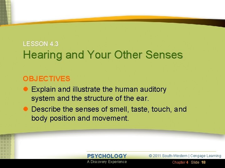 LESSON 4. 3 Hearing and Your Other Senses OBJECTIVES l Explain and illustrate the