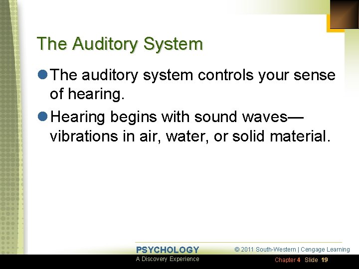 The Auditory System l The auditory system controls your sense of hearing. l Hearing