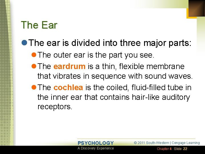 The Ear l The ear is divided into three major parts: l The outer