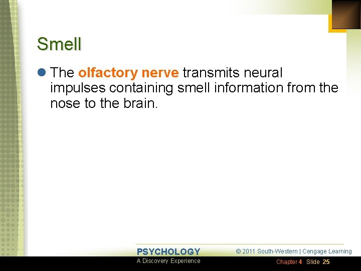 Smell l The olfactory nerve transmits neural impulses containing smell information from the nose