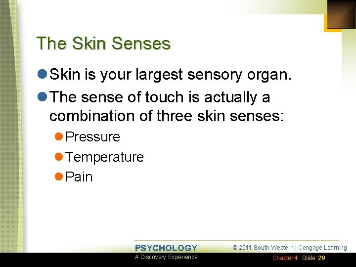 The Skin Senses l Skin is your largest sensory organ. l The sense of