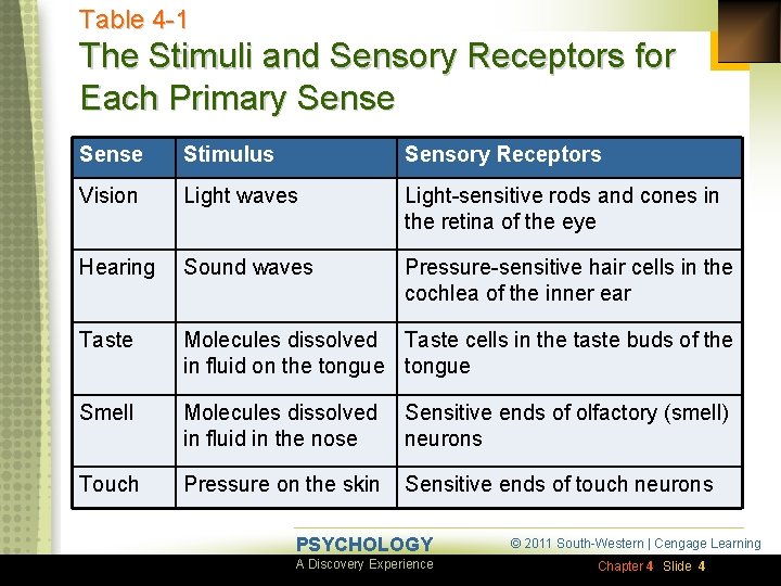 Table 4 -1 The Stimuli and Sensory Receptors for Each Primary Sense Stimulus Sensory