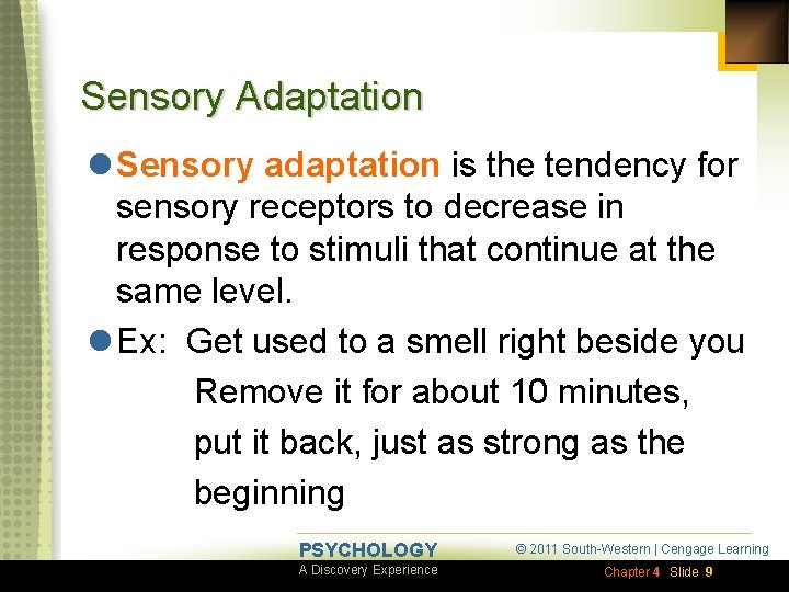 Sensory Adaptation l Sensory adaptation is the tendency for sensory receptors to decrease in