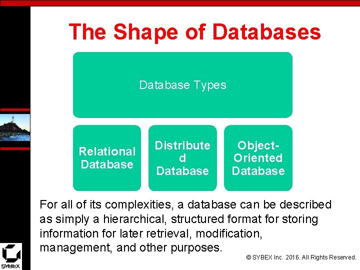 The Shape of Databases Database Types Relational Database Distribute d Database Object. Oriented Database