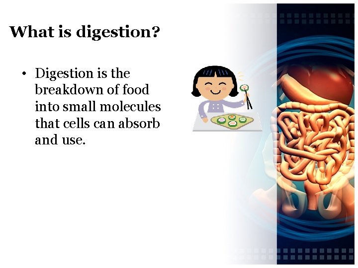 What is digestion? • Digestion is the breakdown of food into small molecules that