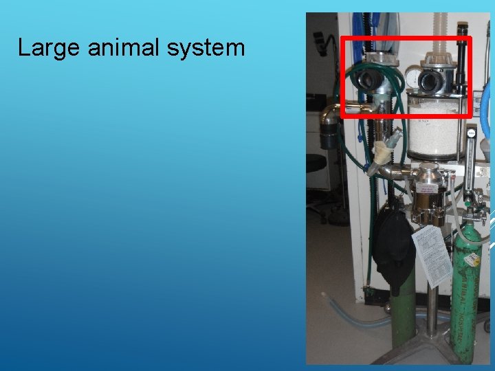 Large animal system 