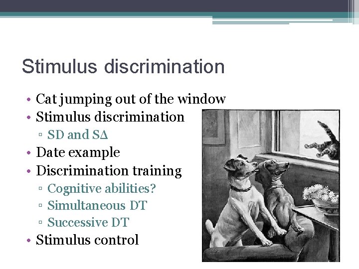 Stimulus discrimination • Cat jumping out of the window • Stimulus discrimination ▫ SD