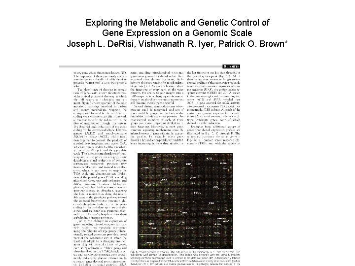 Exploring the Metabolic and Genetic Control of Gene Expression on a Genomic Scale Joseph Exploring the Metabolic and Genetic Control of Gene Expression on a Genomic Scale Joseph