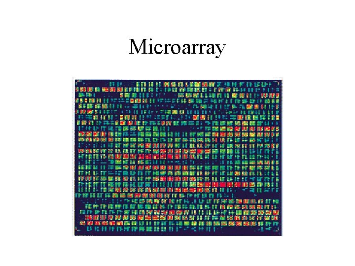 Microarray Microarray