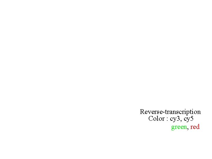 Reverse-transcription Color : cy 3, cy 5 green, red Reverse-transcription Color : cy 3, cy 5 green, red