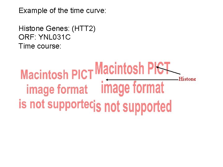 Example of the time curve: Histone Genes: (HTT 2) ORF: YNL 031 C Time Example of the time curve: Histone Genes: (HTT 2) ORF: YNL 031 C Time