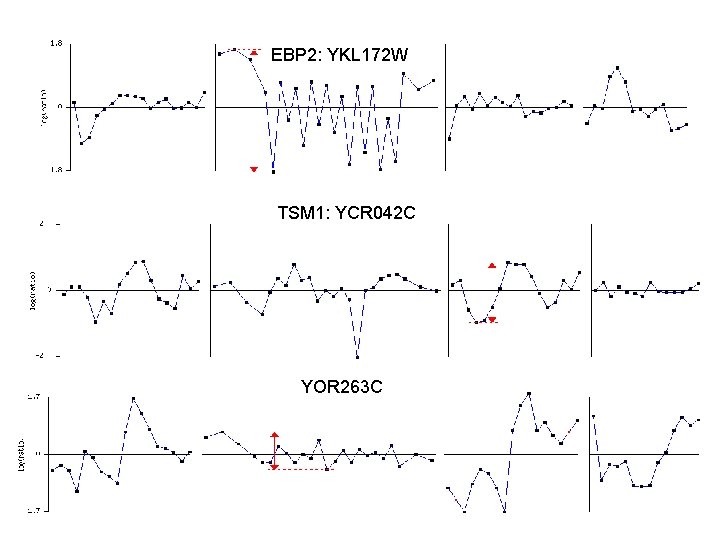 EBP 2: YKL 172 W TSM 1: YCR 042 C YOR 263 C EBP 2: YKL 172 W TSM 1: YCR 042 C YOR 263 C