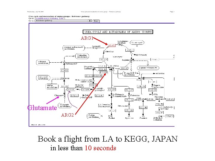 ARG 1 Glutamate ARG 2 Book a flight from LA to KEGG, JAPAN in ARG 1 Glutamate ARG 2 Book a flight from LA to KEGG, JAPAN in