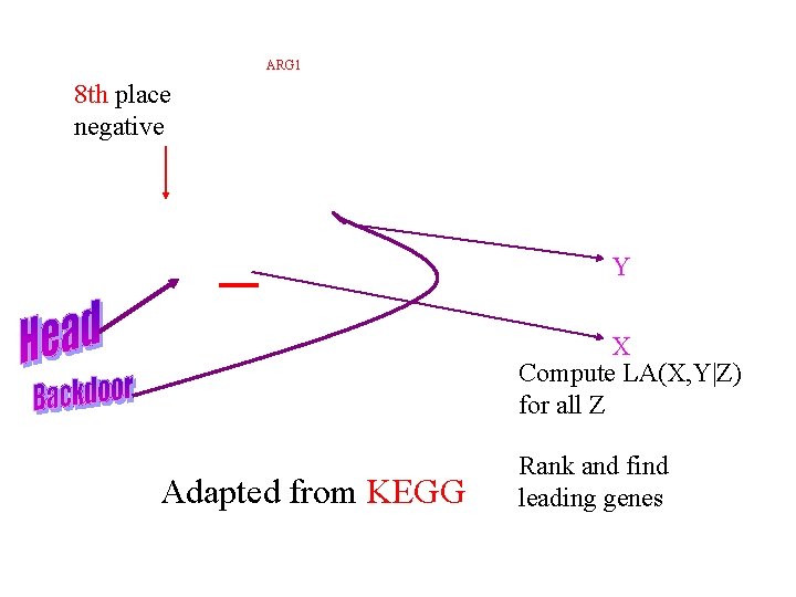 ARG 1 8 th place negative Y X Compute LA(X, Y|Z) for all Z ARG 1 8 th place negative Y X Compute LA(X, Y|Z) for all Z