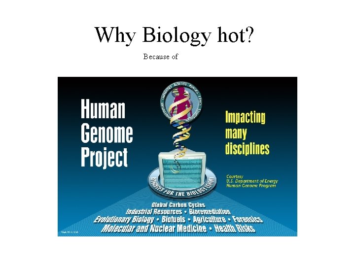 Why Biology hot? Because of Why Biology hot? Because of