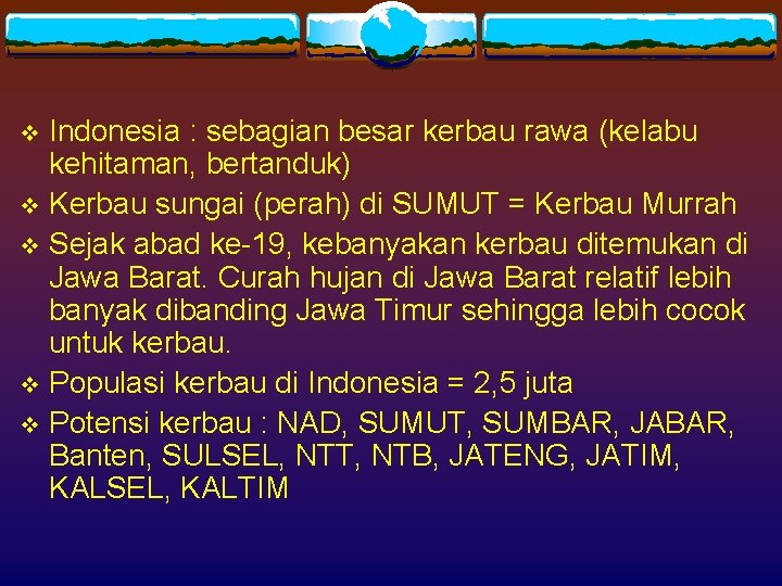 Indonesia : sebagian besar kerbau rawa (kelabu kehitaman, bertanduk) v Kerbau sungai (perah) di