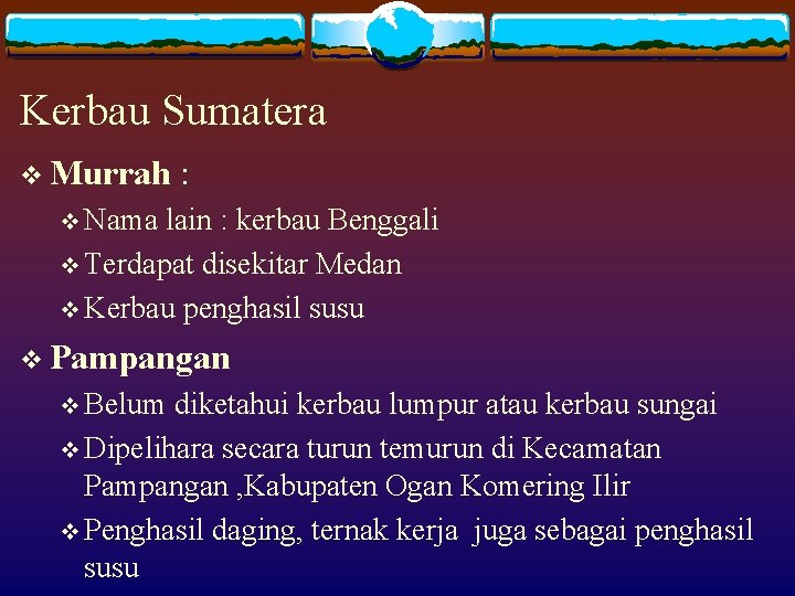 Kerbau Sumatera v Murrah : v Nama lain : kerbau Benggali v Terdapat disekitar