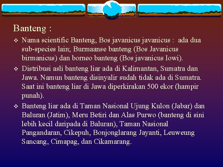Banteng : v v v Nama scientific Banteng, Bos javanicus : ada dua sub-species