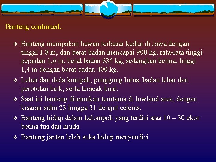 Banteng continued. . v v v Banteng merupakan hewan terbesar kedua di Jawa dengan